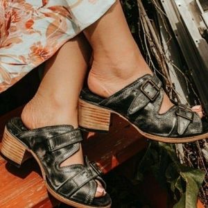 Freebird by Steven "Caprice"